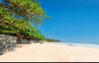 listing thumbnail image 21