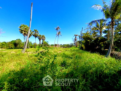 ที่ดิน ปราณบุรี ประจวบคีรีขันธ์ : ที่ดิน สำหรับขาย ทำเลปราณบุรี ใกล้ปราณบุรี จังหวัดประจวบคีรีขันธ์ รองรับสัตว์เลี้ยง 📍 (ID 1407233)