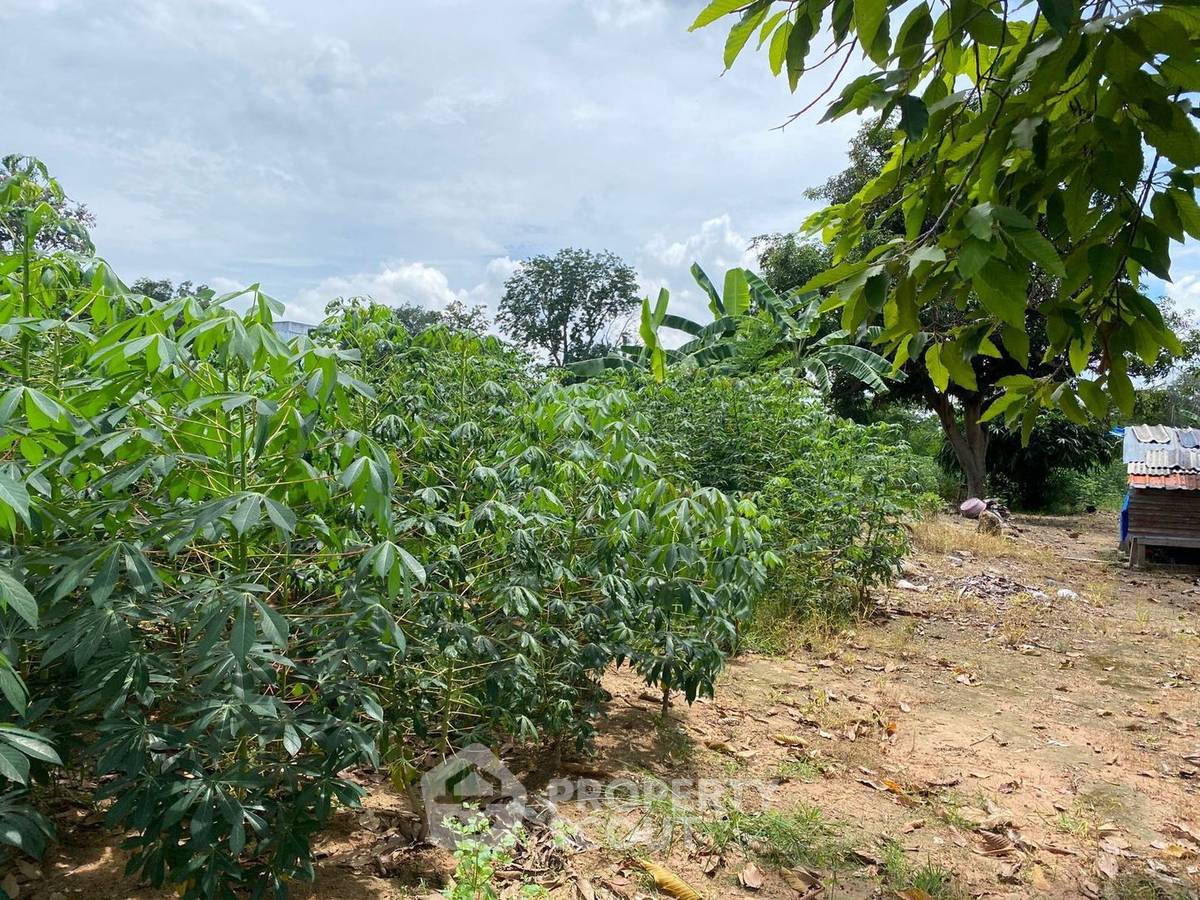 รูป ขายที่ดินเปล่า ในแหลมฉบัง ทุ่งสุขลา ศรีราชา ชลบุรี (ID 1333421) - รูปที่ 2/4