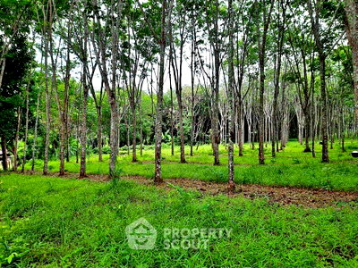 ที่ดิน ถลาง ภูเก็ต : ที่ดินสำหรับขาย ใน ถลาง ภูเก็ต (ID 1558625)