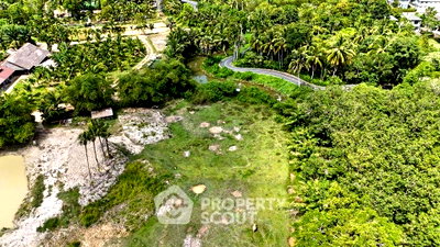 ที่ดิน ถลาง ภูเก็ต : ขายที่ดิน ในเทพกษัตรี ถลาง ภูเก็ต (ID 1504771)