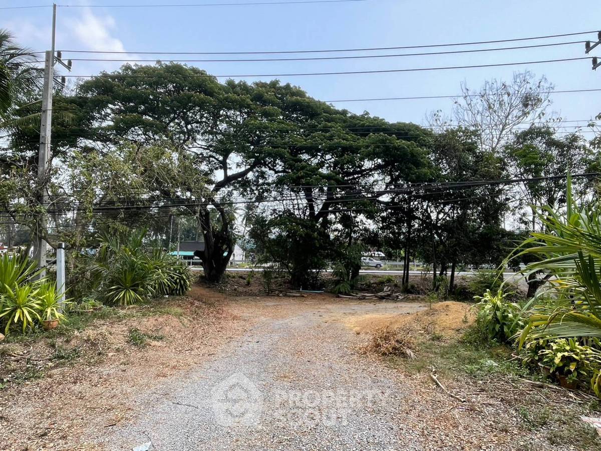 รูป ขายที่ดิน ในทองมงคล บางสะพาน ประจวบคีรีขันธ์ 📍 (ID 1157235) - รูปที่ 3/5