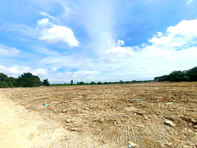 ขายที่ดิน : ที่ดินว่างเปล่า 63995.4 ตร.วา การ์เด้นซิตี้ โปโล-บางนา บางบ่อ สมุทรปราการ 317.2M