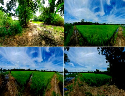 Land for sale Bang Sai Phra Nakhon Sri Ayutthaya : LAND 7312 Sq.w. Bang Sai Phra Nakhon Sri Ayutthaya for 9.5M