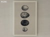 listing thumbnail image 43