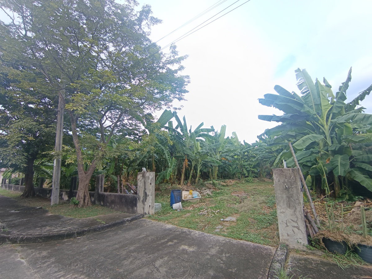 รูป ขายที่ดิน หมู่บ้านปัญญา P4 ถนนปัญญาอินทรา พระยาสุเรนทร์ กทม - รูปที่ 3/23