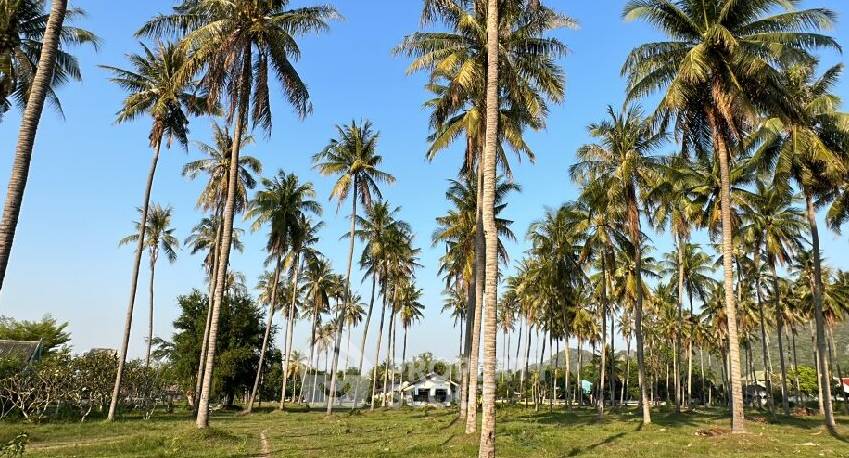 รูป ที่ดินสำหรับขาย ในคลองวาน อำเภอเมืองประจวบคีรีขันธ์ จังหวัดประจวบคีรีขันธ์ 📍 (ID 1817518) - รูปที่ 5/15