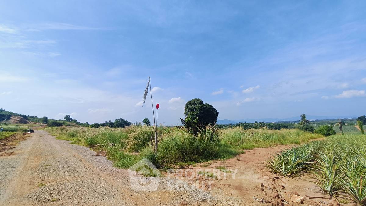 รูป ที่ดินขาย พร้อมอยู่แบบเลี้ยงสัตว์ได้ ในวังโพรง ปราณบุรี ประจวบคีรีขันธ์ (ID 1936990) - รูปที่ 12/12
