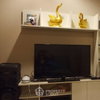 listing thumbnail image 7