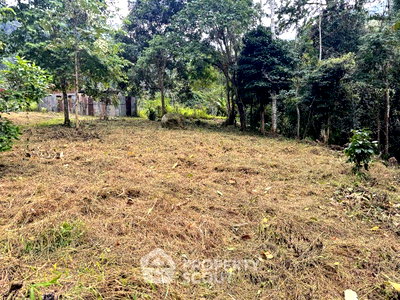 Land for sale Chiang Mai : Land For Sale In Choeng Doi, Doi Saket, Chiang Mai (ID 2093387)