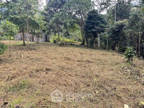 ที่ดินสำหรับขาย เชิงดอย ดอยสะเก็ด เชียงใหม่ (ID 2093387)