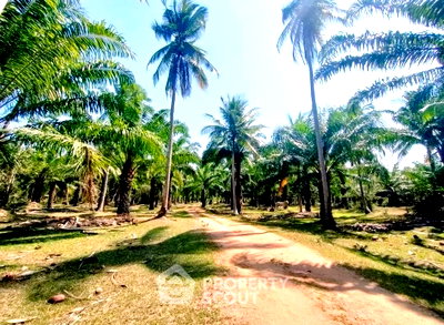 Land for sale Bang Saphan Prachaubkirikhan : Land For Sale In Thong Chai, Bang Saphan, Prachuap Khiri Khan (ID 1591314)