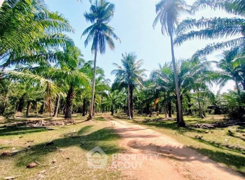 Land For Sale In Thong Chai, Bang Saphan, Prachuap Khiri Khan (ID 1591314)