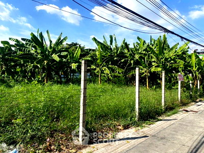 เช่าที่ดิน ม.ราชภัฏจันทรเกษม : ที่ดินให้เช่า ลาดพร้าว ลาดพร้าว กรุงเทพมหานคร (ID 1962931)