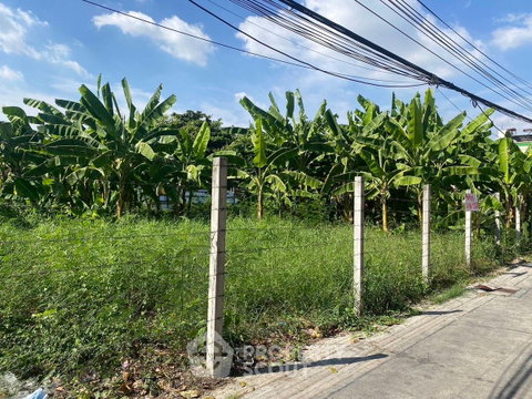 ที่ดินให้เช่า ลาดพร้าว ลาดพร้าว กรุงเทพมหานคร (ID 1962931)