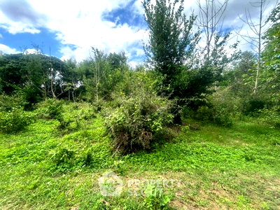 Land for sale Chiang Mai : Land For Sale In Nong Han, San Sai, Chiang Mai (ID 1723893)