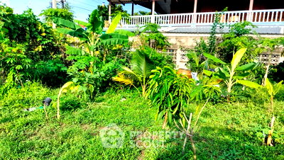 ที่ดิน โรงเรียนนานาชาติเด่นหล้า : ที่ดินสำหรับขาย ในท่าอิฐ ปากเกร็ด นนทบุรี (ID 2104949)