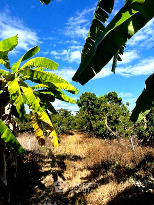 Land for sale Chiang Mai : Land For Sale 11,000,000 In Han Kaeo, Hang Dong, Chiang Mai (ID 1372746)