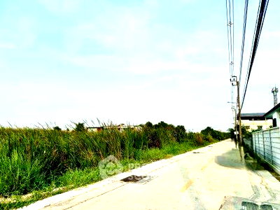 Land for rent วิทยาลัยช่างศิลป : Land For Rent Near Suvarnabhumi Airport, Lat Krabang (ID 2083601)