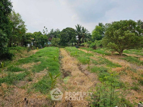 Land For Sale In Bang Khanun, Bang Kruai Nonthaburi (ID 1530175)