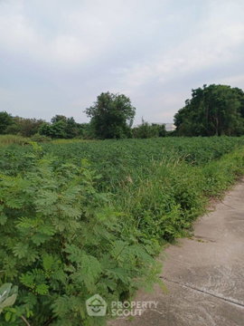 ขายที่ดินเปล่า ในหนองขาม ศรีราชา ชลบุรี (ID 2089362)