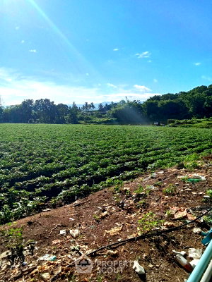 Land for sale Chiang Mai : Land For Sale Near Chiang Mai International Airport, Suthep (Suthep) (ID 1588566)