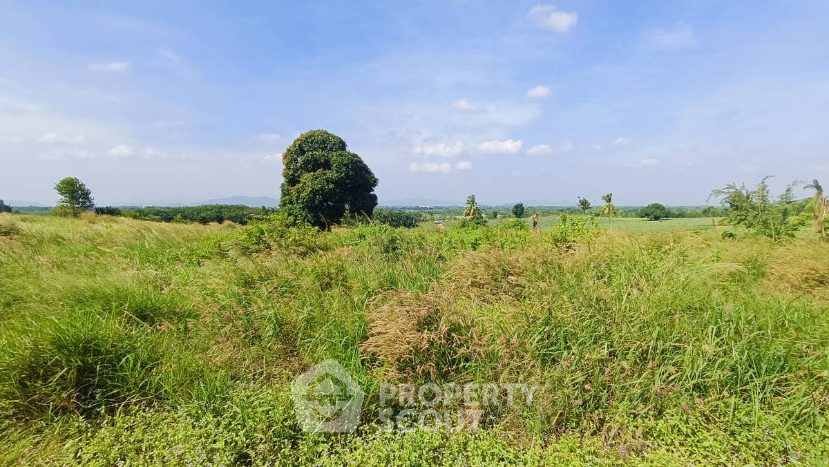 รูป ที่ดินขาย พร้อมอยู่แบบเลี้ยงสัตว์ได้ ในวังโพรง ปราณบุรี ประจวบคีรีขันธ์ (ID 1936990) - รูปที่ 2/12