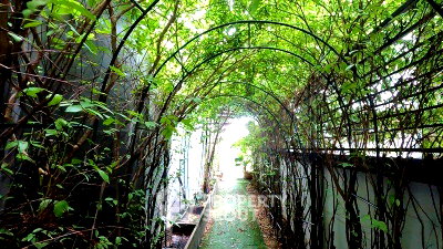 บ้านเดี่ยว ไอทีสแควร์หลักสี่ : บ้านเดี่ยว 3 ห้องนอน ขาย ที่ บ้านกลางเมือง วิภาวดี 64 ย่านตลาดบางเขน (ID 2150569)