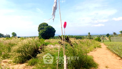 ที่ดิน ปราณบุรี ประจวบคีรีขันธ์ : ที่ดินขาย พร้อมอยู่แบบเลี้ยงสัตว์ได้ ในวังโพรง ปราณบุรี ประจวบคีรีขันธ์ (ID 1936990)
