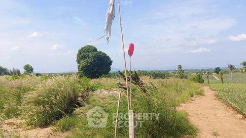 ที่ดินขาย พร้อมอยู่แบบเลี้ยงสัตว์ได้ ในวังโพรง ปราณบุรี ประจวบคีรีขันธ์ (ID 1936990)