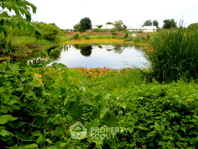 ที่ดิน ถนนเทพรักษ์ : ขายที่ดิน ในทำแร้ง เขตบางเขน กรุงเทพฯ (ID 2084909)