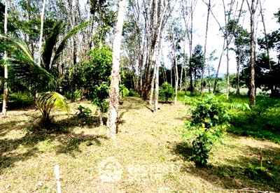 ที่ดิน ถลาง ภูเก็ต : ขายที่ดินเปล่า ในสิเสนธร ถลาง ภูเก็ต (ID 1383827)