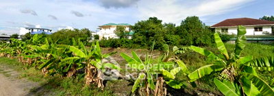 Land for sale Sai Mai 76 : Land For Sale In Sai Mai, Bangkok | Ready To Build (ID 1252223)