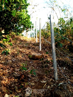 Land for sale Chiang Mai : Land For Sale In Mae Win Mae Wang Chiang Mai (Land Plot) (ID 2088694)