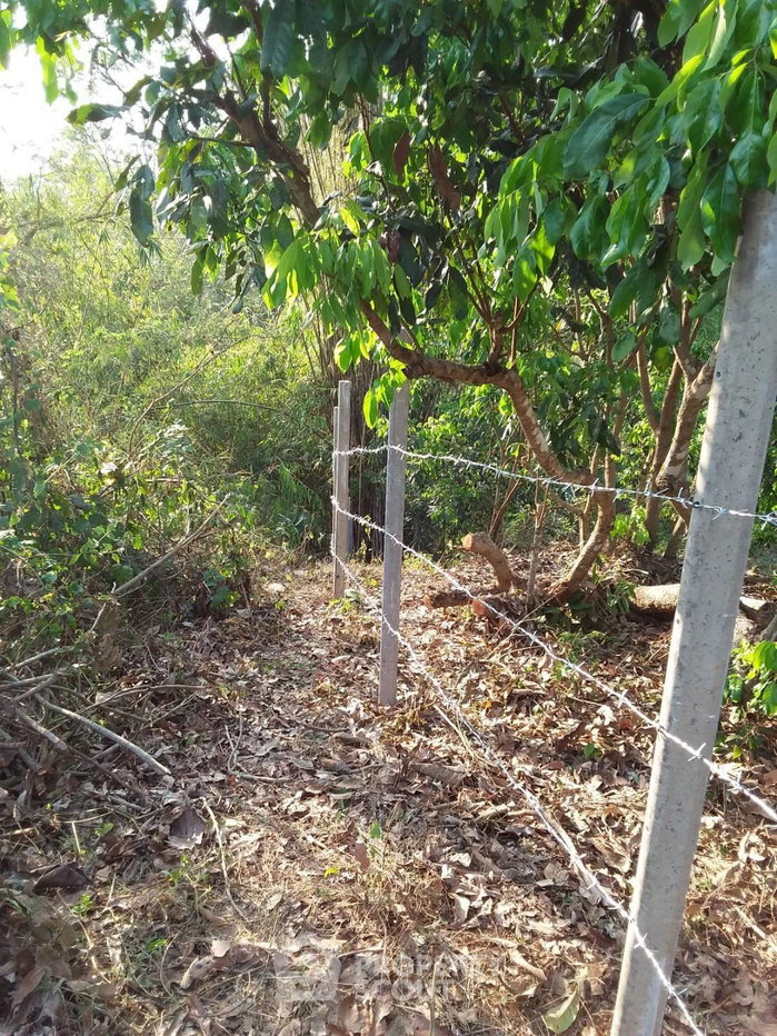 picture Land For Sale In Mae Win Mae Wang Chiang Mai (Land Plot) (ID 2088694) - 2/4