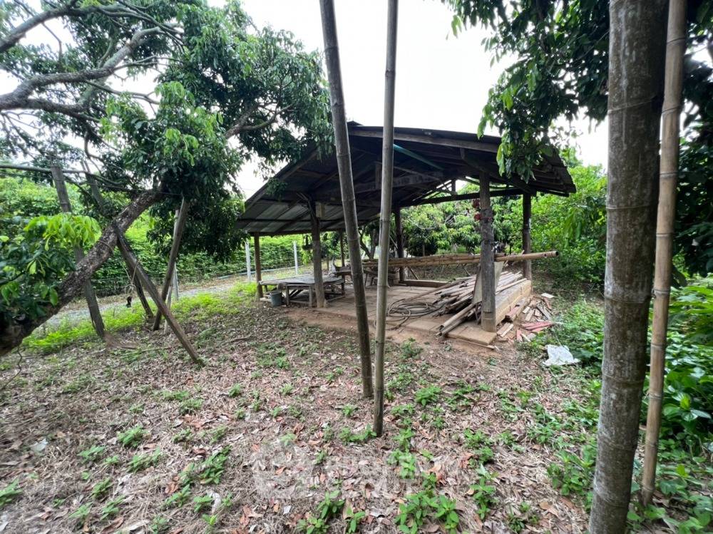 รูป ที่ดินสำหรับขาย ในดอนแก้ว สารภี เชียงใหม่ (ID 1275088) - รูปที่ 4/8