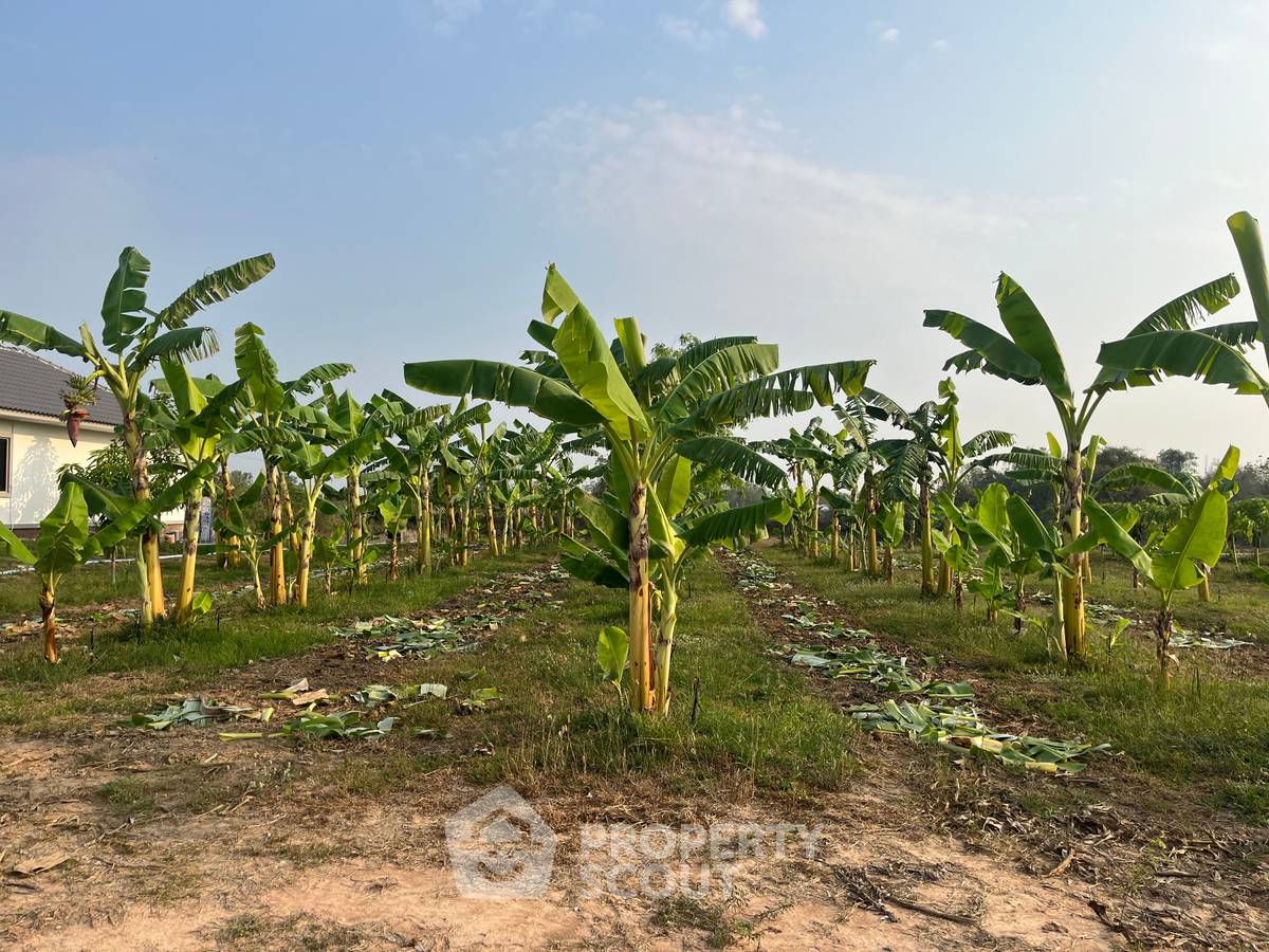 รูป ที่ดินขาย ในวังพง อำเภอปราณบุรี จังหวัดประจวบคีรีขันธ์ (ID 1532197) - รูปที่ 2/4