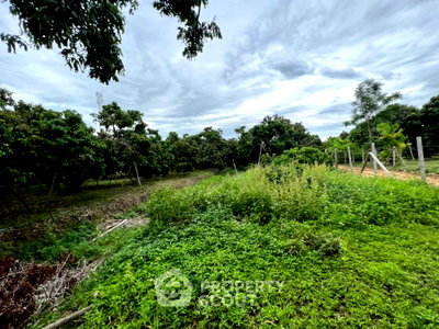 Land for sale Chiang Mai : For sale Land Plot In Don Kaeo, Saraphi Chiang Mai (ID 1275088)