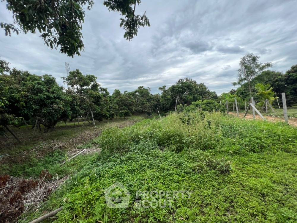 รูป ที่ดินสำหรับขาย ในดอนแก้ว สารภี เชียงใหม่ (ID 1275088) - รูปที่ 1/8