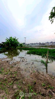 ที่ดิน โรงเรียนนานาชาติเด่นหล้า : ที่ดินเพื่อขาย คลองข่อย ปากเกร็ด นนทบุรี (ID 2058082)