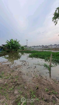 ที่ดินเพื่อขาย คลองข่อย ปากเกร็ด นนทบุรี (ID 2058082)