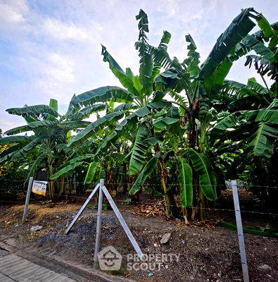 ที่ดิน เขตหลักสี่ : ขายที่ดิน ทุ่งสองห้อง ลาดสี่ กรุงเทพมหานคร (ID 2146222)
