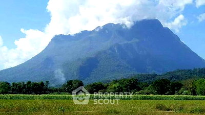 Land for sale Chiang Mai : Land For Sale In Chiang Dao, Chiang Mai (ID 1540118)