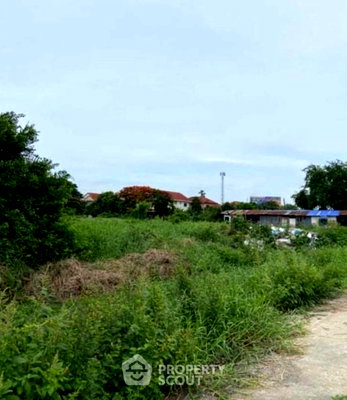 ที่ดิน โรงเรียนนานาชาติเด่นหล้า : ที่ดินขาย ใกล้ MRT คลองบางไผ่ โครงการบางรักพัฒนา บางบัวทอง นนทบุรี (ID 1400165)