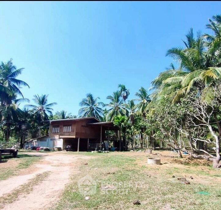 รูป ที่ดินเพื่อขาย ในทองชัย บางสะพาน ประจวบคีรีขันธ์ (ID 1591314) - รูปที่ 2/4