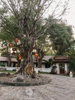 listing thumbnail image 19