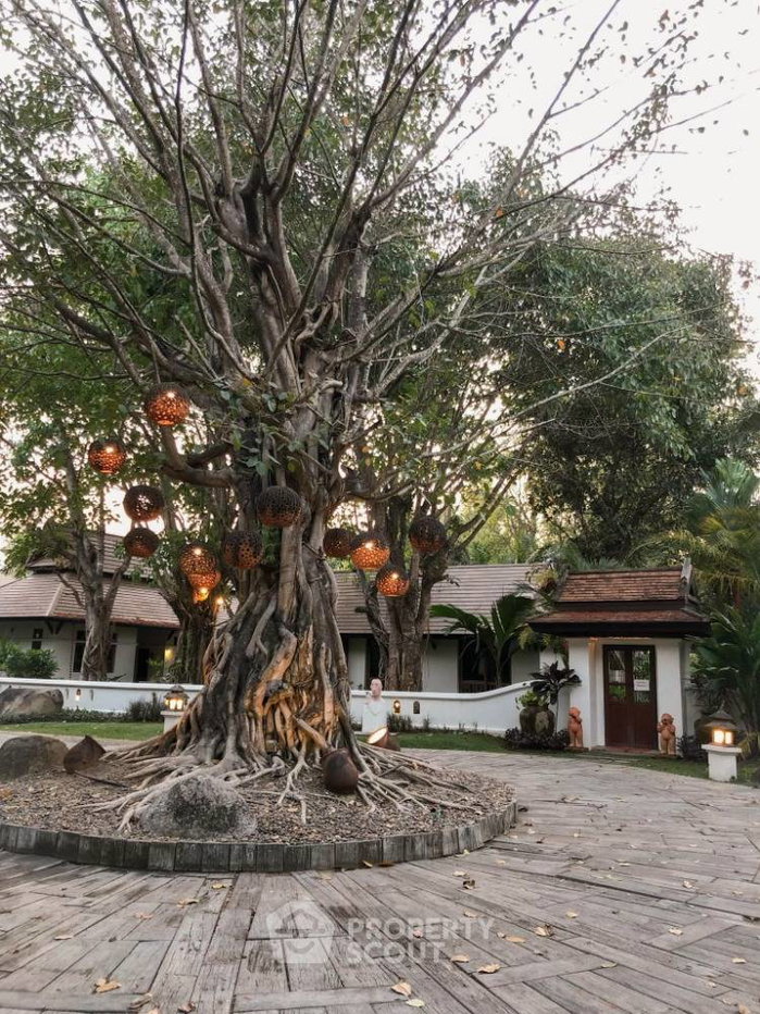 รูป บ้านเช่า 3 ห้องนอน ใกล้สนามบินนานาชาติเชียงใหม่ (สุเทพ) รับสัตว์เลี้ยง (ID 1485801) - รูปที่ 20/20