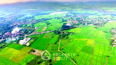 Land for sale Chiang Mai : Land For Sale In Choeng Doi, Doi Saket, Chiang Mai (ID 2453674)