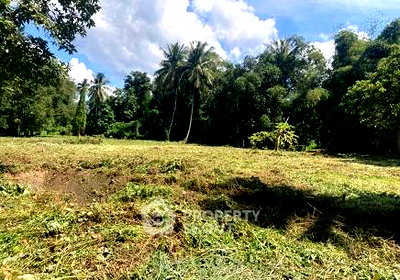 Land for sale Chiang Mai : Land For Sale Inthakhin Mae Taeng Chiang Mai (ID 1972455)