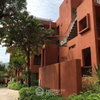 listing thumbnail image 11